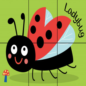 RP86 - BLOQUES ROMPECABEZAS 6 EN 1 INSECTOS