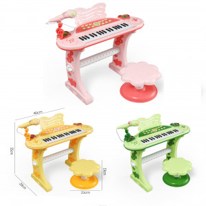 OR20 - SET  ORGANO ELECTRICO